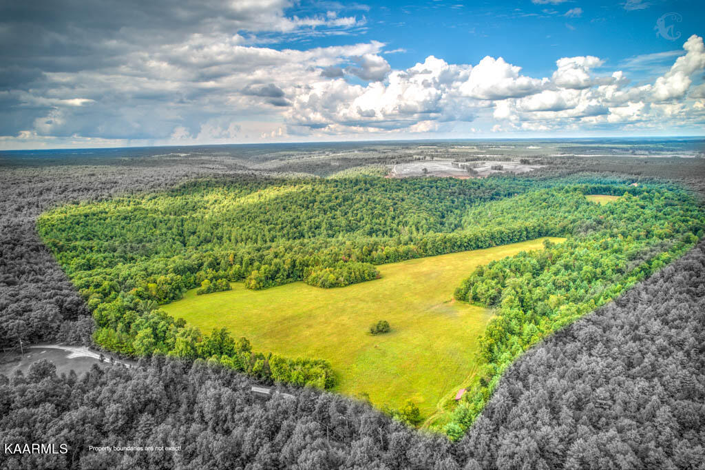 Stanley Cooper Road Deer Lodge, TN 37726 - Photo 1 of 28 StnlyCpr (5)-Edit