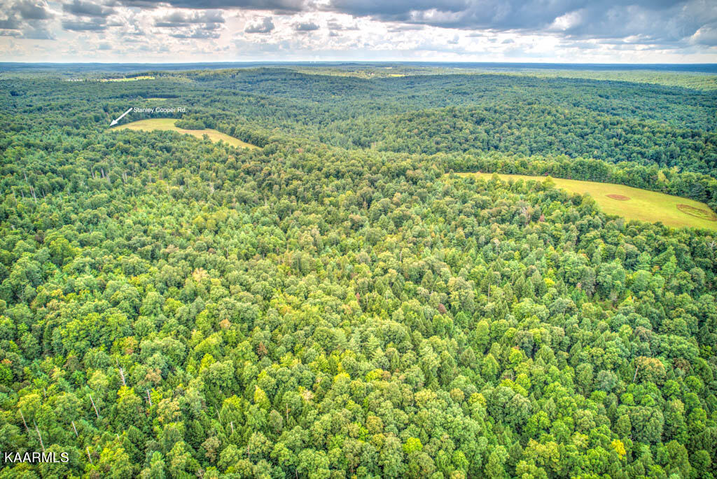 Stanley Cooper Road Deer Lodge, TN 37726 - Photo 13 of 28 StnlyCpr (15)-Edit