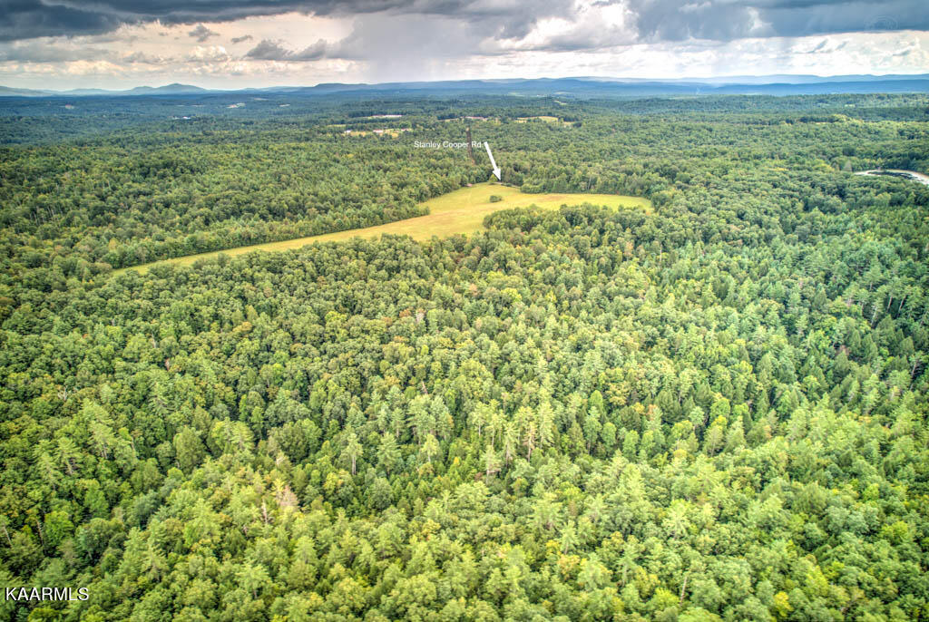 Stanley Cooper Road Deer Lodge, TN 37726 - Photo 18 of 28 StnlyCpr (9)-Edit