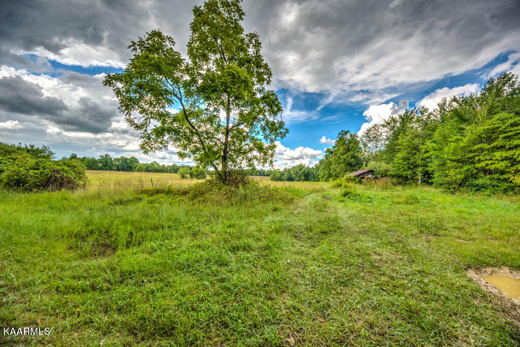Stanley Cooper Road Deer Lodge, TN 37726 - Photo 2 of 28 StnlyCpr (25)