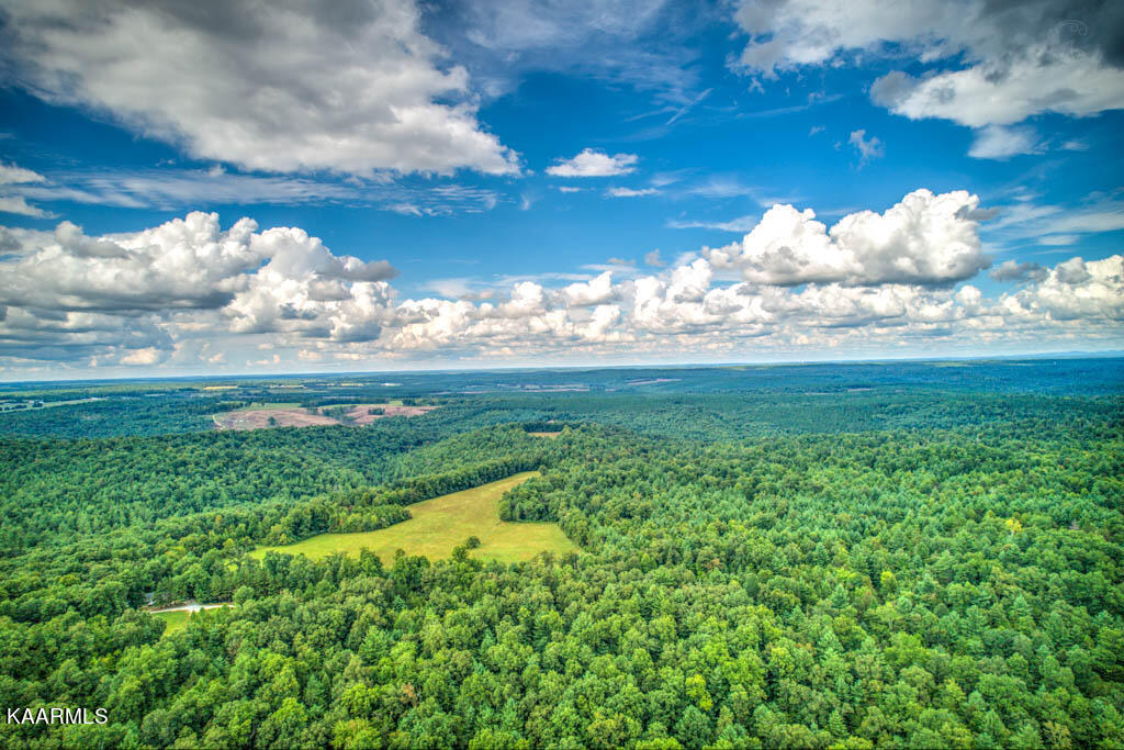 Stanley Cooper Road Deer Lodge, TN 37726 - Photo 5 of 28 StnlyCpr (24)