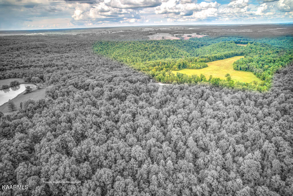 Stanley Cooper Road Deer Lodge, TN 37726 - Photo 8 of 28 StnlyCpr (20)-Edit
