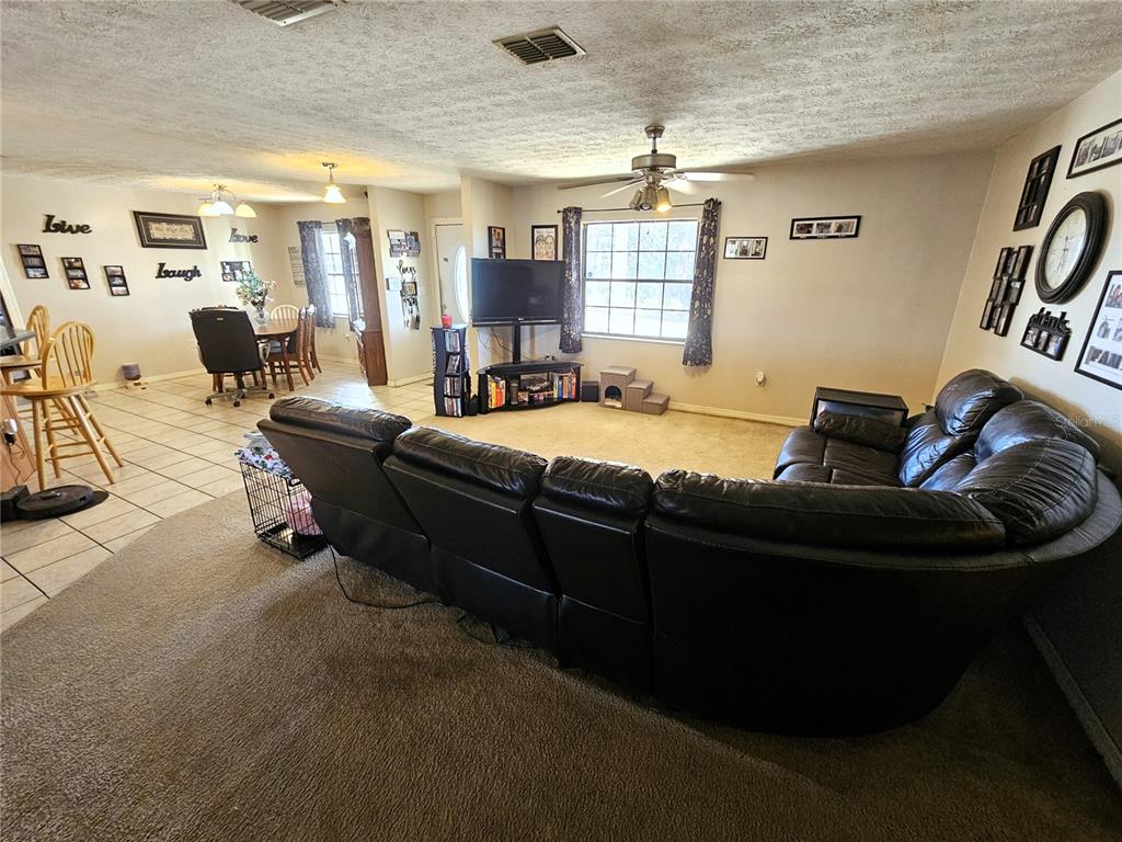 13308 Duck Lake Canal Road Dade City, FL 33525 - Photo 12 of 90 a living room with furniture and a flat screen tv