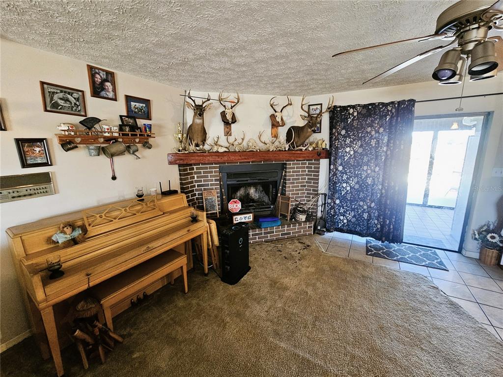 13308 Duck Lake Canal Road Dade City, FL 33525 - Photo 13 of 90 a view of livingroom with furniture and a fireplace
