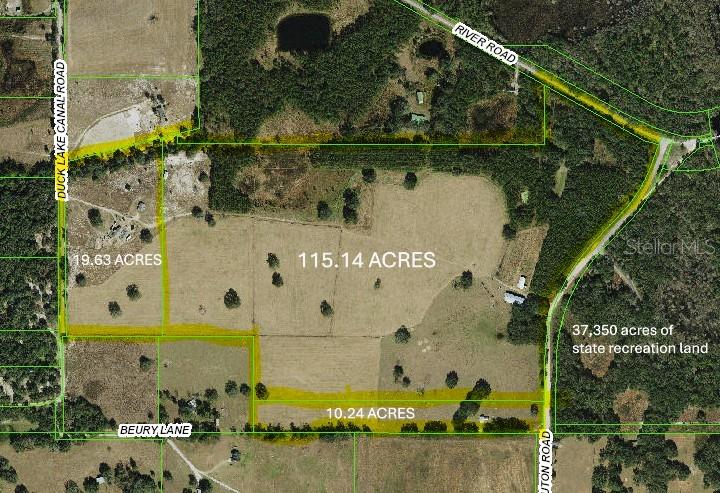 13308 Duck Lake Canal Road Dade City, FL 33525 - Photo 34 of 90