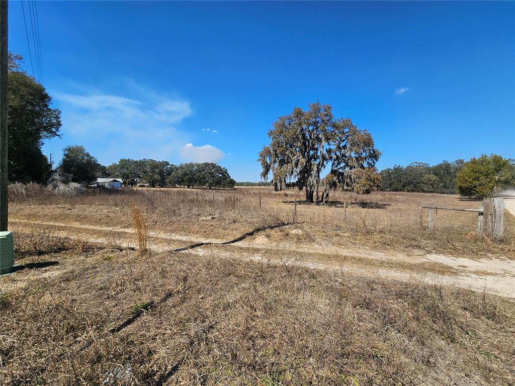 13308 Duck Lake Canal Road Dade City, FL 33525 - Photo 35 of 90 a view of dirt field with trees in background