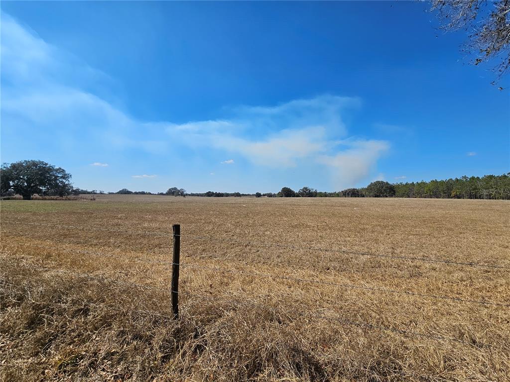 13308 Duck Lake Canal Road Dade City, FL 33525 - Photo 41 of 90