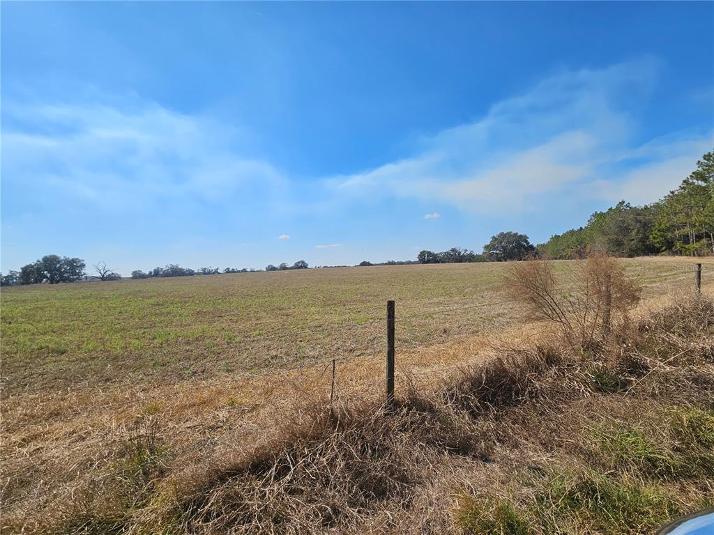 13308 Duck Lake Canal Road Dade City, FL 33525 - Photo 42 of 90
