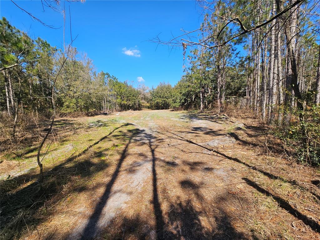 13308 Duck Lake Canal Road Dade City, FL 33525 - Photo 44 of 90 a view of an outdoor space with wooden fence