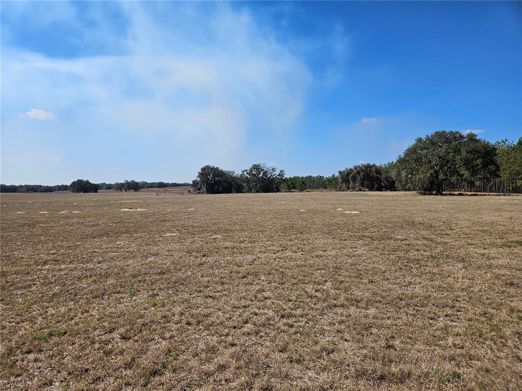 13308 Duck Lake Canal Road Dade City, FL 33525 - Photo 45 of 90