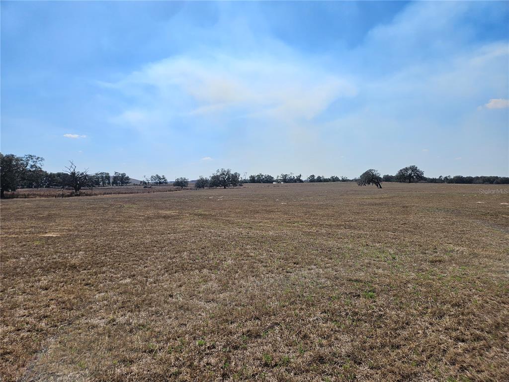 13308 Duck Lake Canal Road Dade City, FL 33525 - Photo 46 of 90