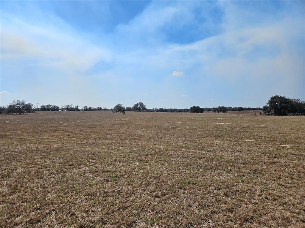 13308 Duck Lake Canal Road Dade City, FL 33525 - Photo 47 of 90