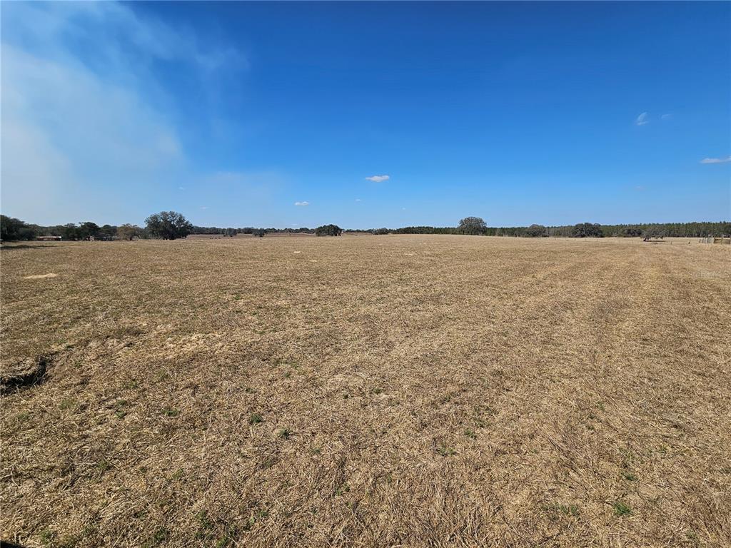 13308 Duck Lake Canal Road Dade City, FL 33525 - Photo 50 of 90