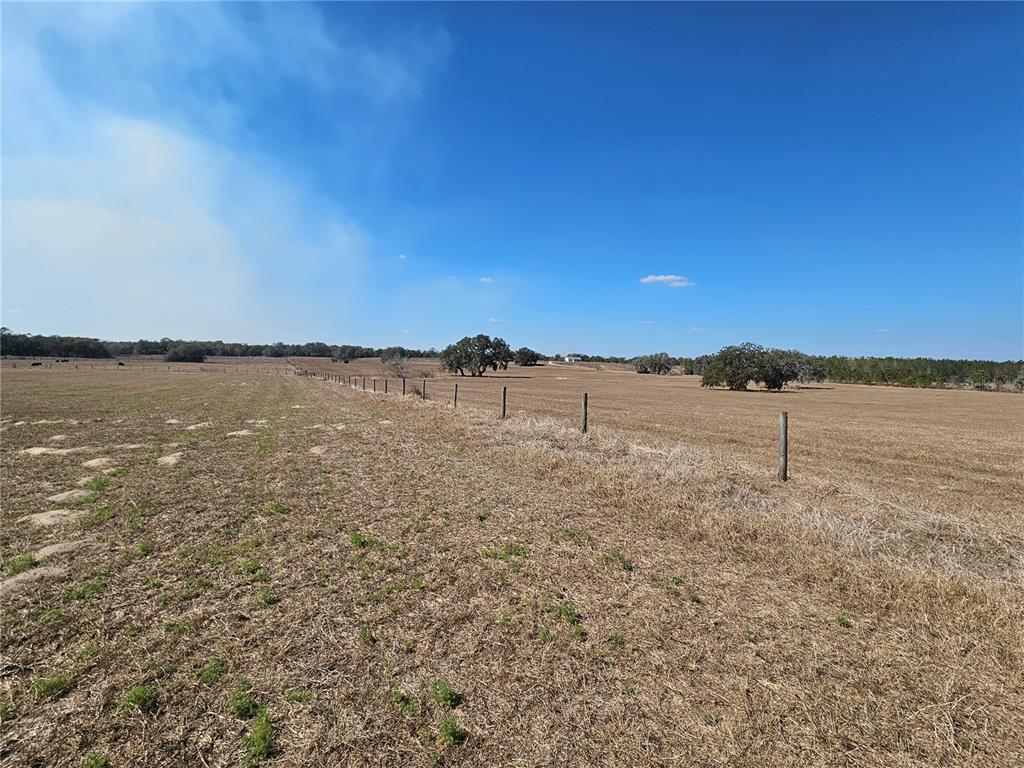 13308 Duck Lake Canal Road Dade City, FL 33525 - Photo 52 of 90