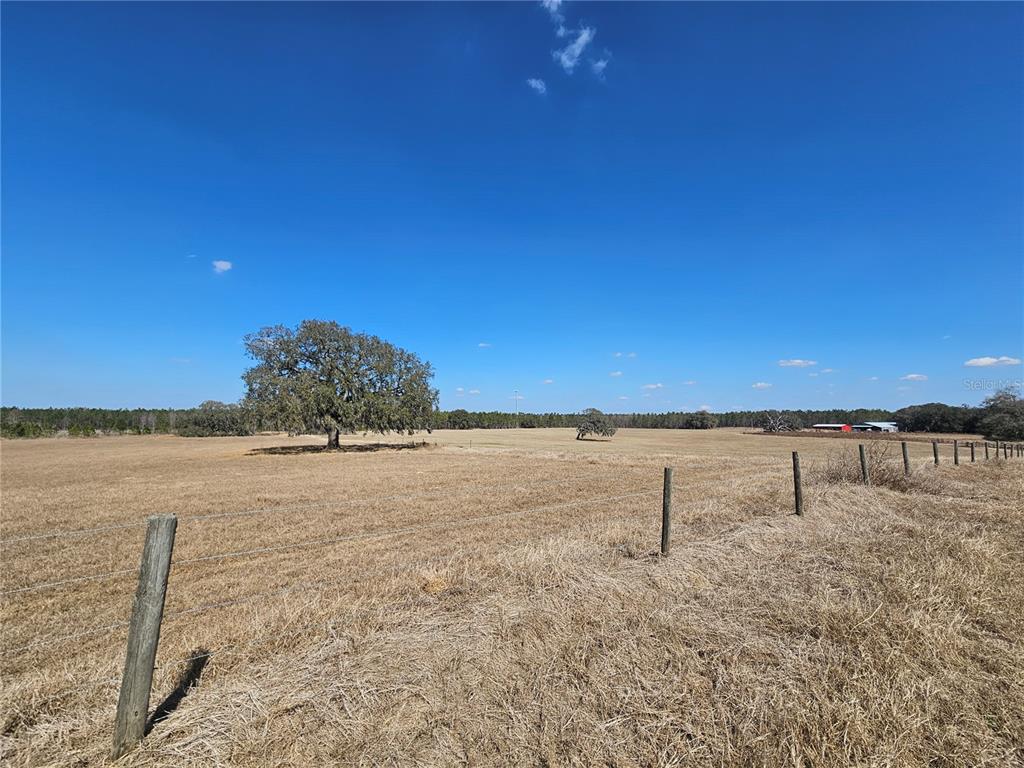 13308 Duck Lake Canal Road Dade City, FL 33525 - Photo 54 of 90