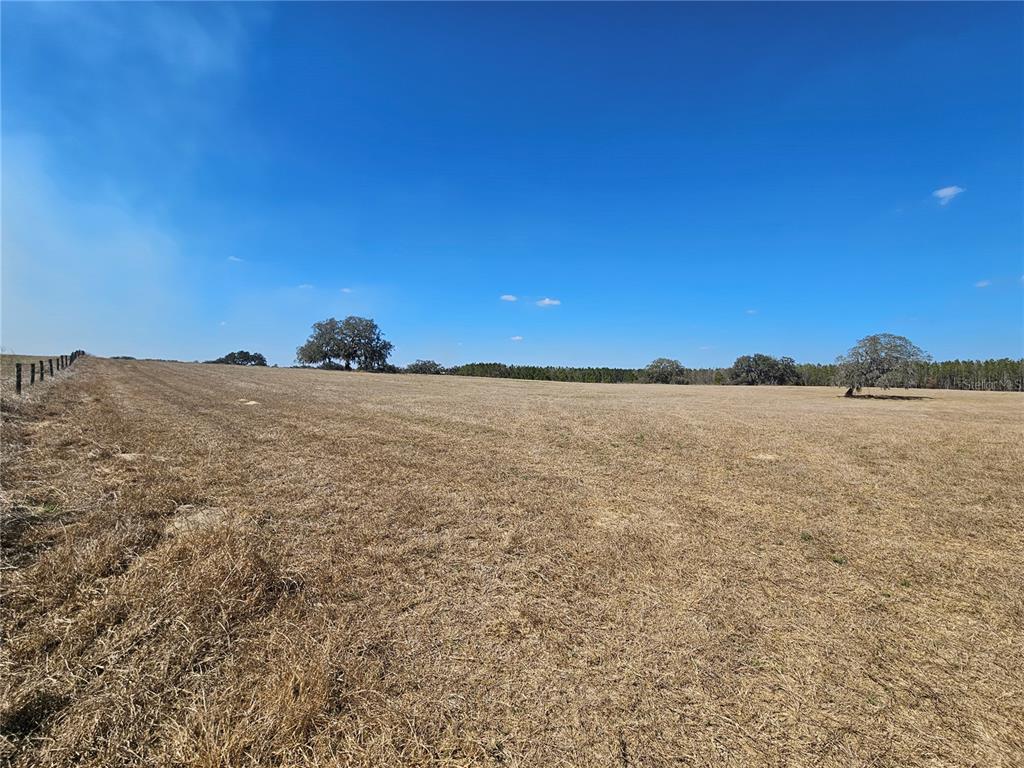 13308 Duck Lake Canal Road Dade City, FL 33525 - Photo 55 of 90
