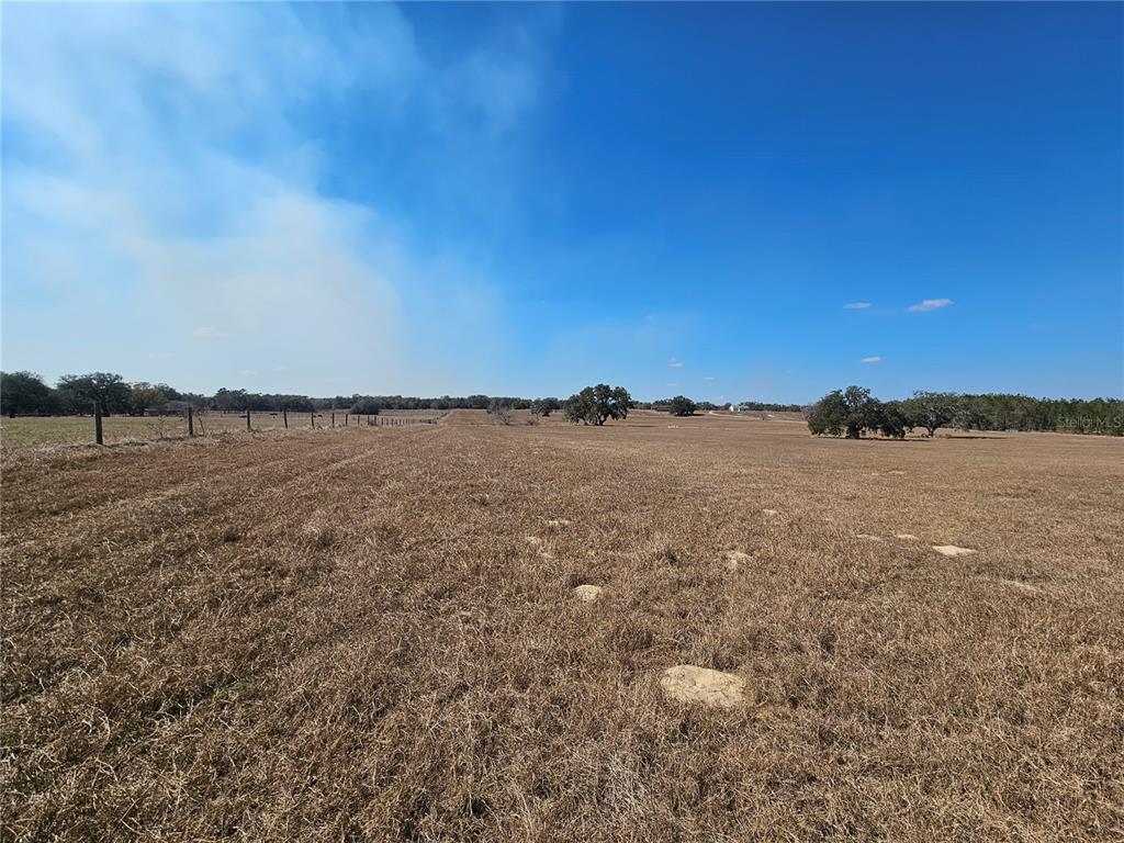 13308 Duck Lake Canal Road Dade City, FL 33525 - Photo 56 of 90