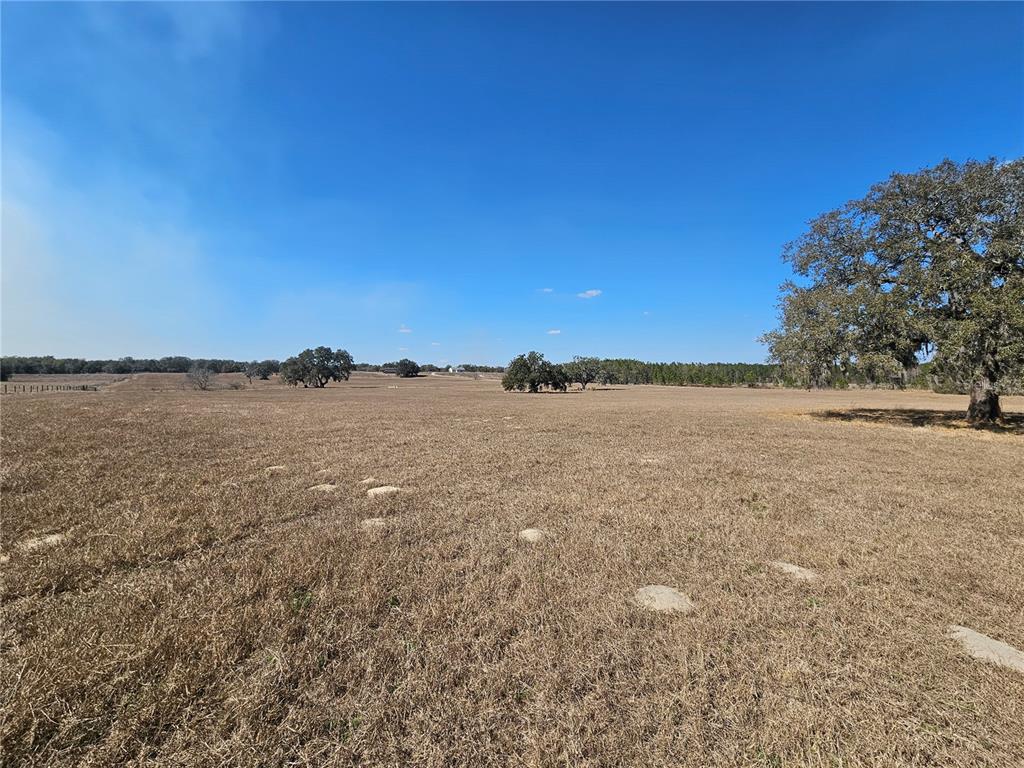 13308 Duck Lake Canal Road Dade City, FL 33525 - Photo 57 of 90
