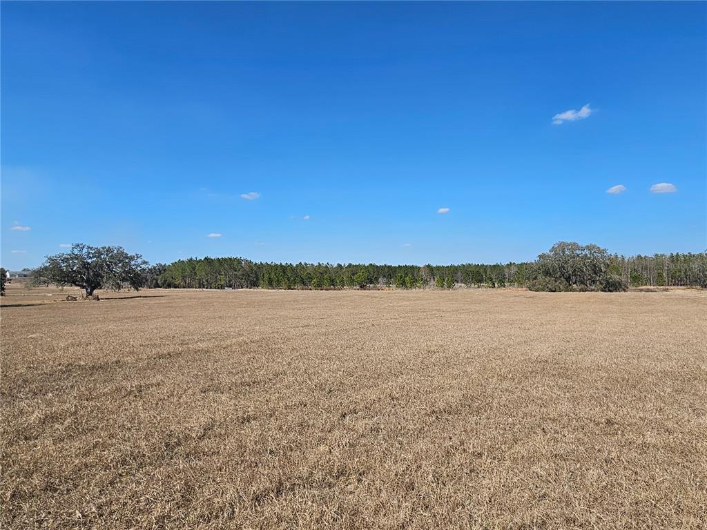 13308 Duck Lake Canal Road Dade City, FL 33525 - Photo 58 of 90 a view of lake and mountain