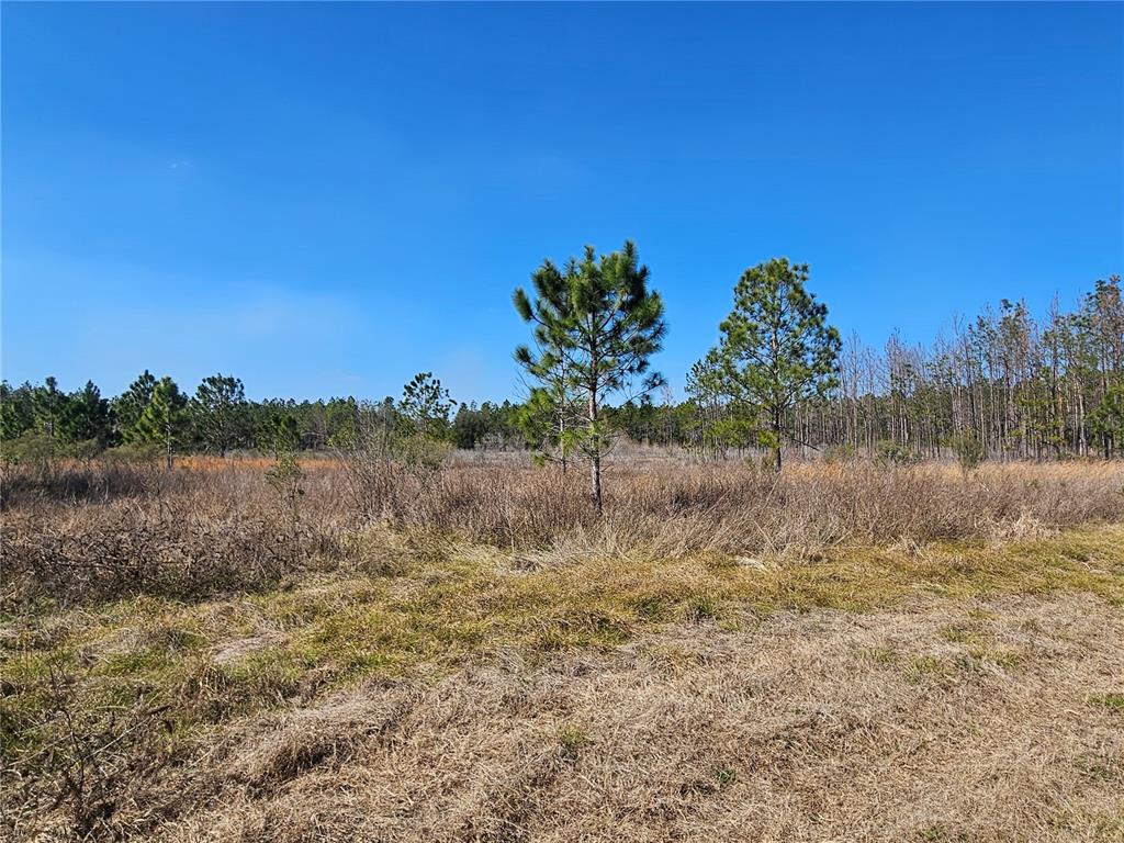 13308 Duck Lake Canal Road Dade City, FL 33525 - Photo 60 of 90