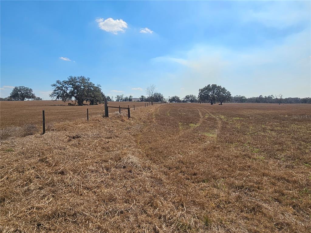13308 Duck Lake Canal Road Dade City, FL 33525 - Photo 61 of 90