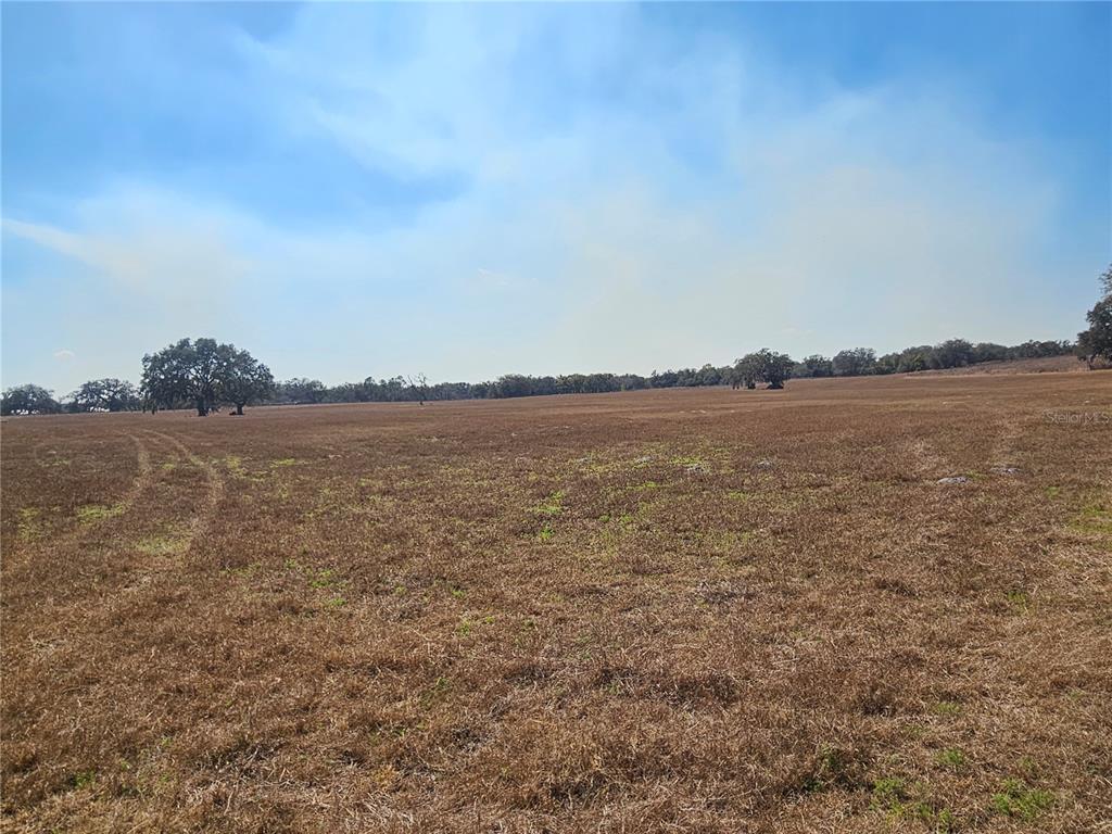 13308 Duck Lake Canal Road Dade City, FL 33525 - Photo 62 of 90