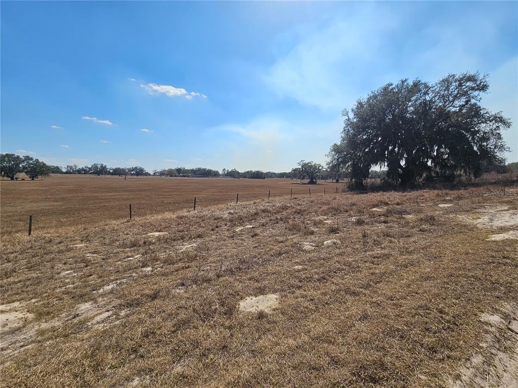 13308 Duck Lake Canal Road Dade City, FL 33525 - Photo 64 of 90
