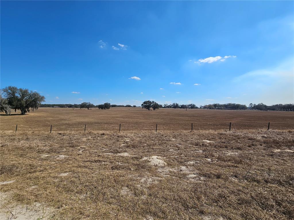 13308 Duck Lake Canal Road Dade City, FL 33525 - Photo 65 of 90