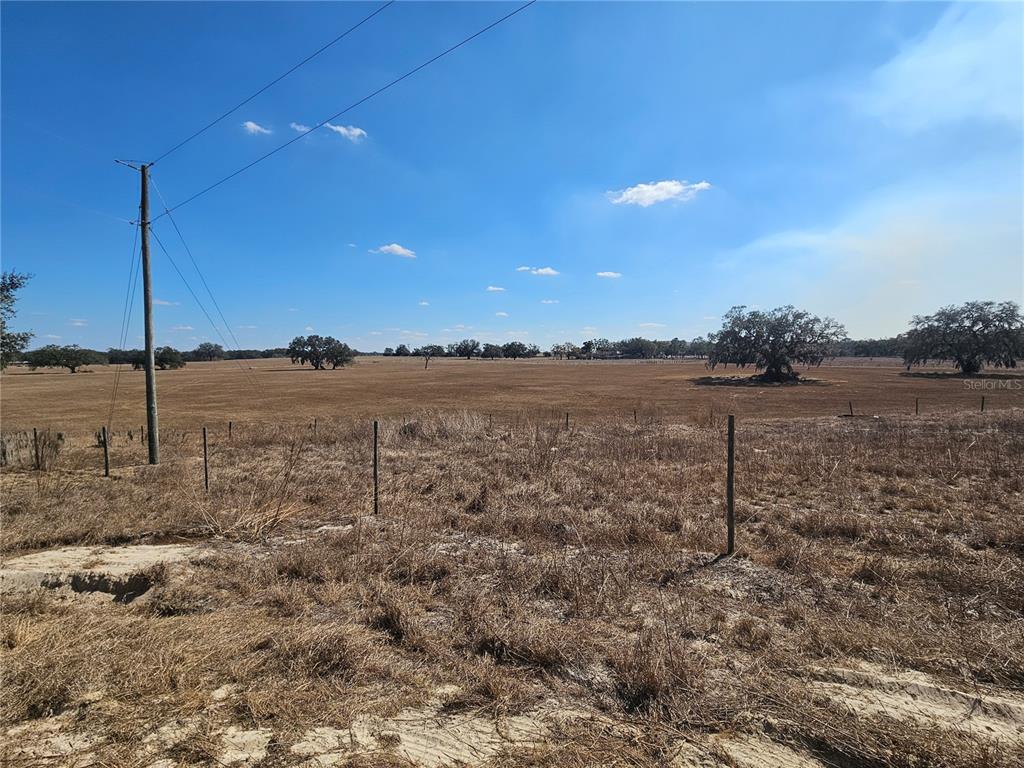 13308 Duck Lake Canal Road Dade City, FL 33525 - Photo 66 of 90