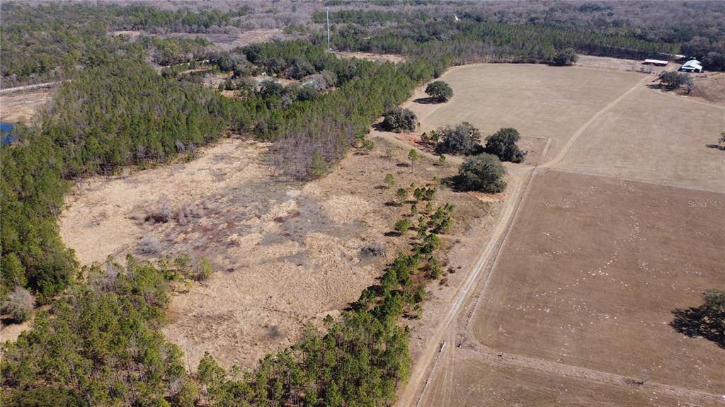 13308 Duck Lake Canal Road Dade City, FL 33525 - Photo 77 of 90