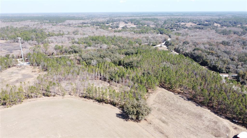 13308 Duck Lake Canal Road Dade City, FL 33525 - Photo 83 of 90