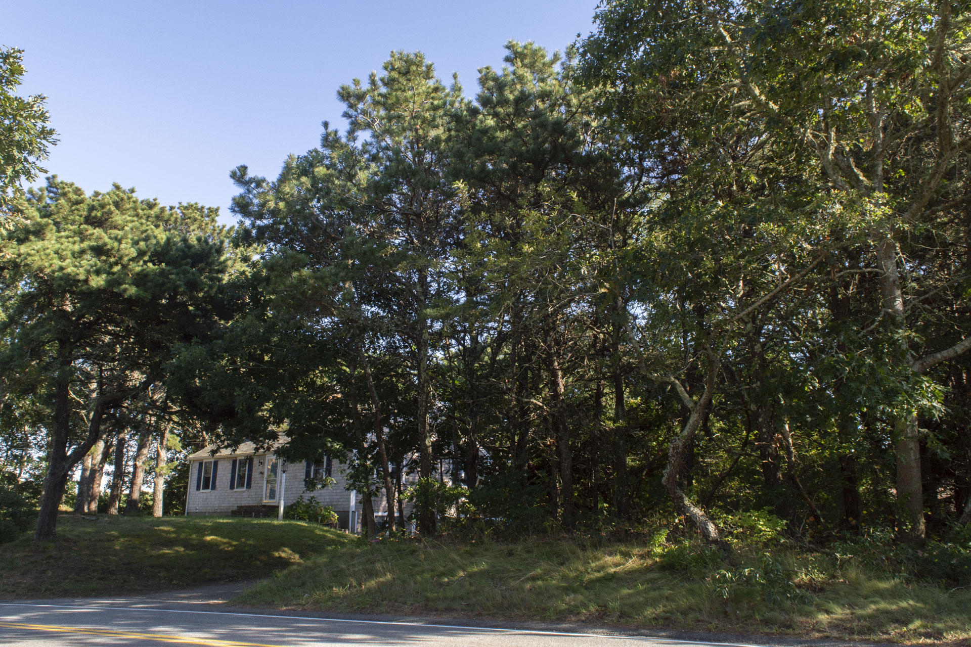 0 Old Queen Anne Road Chatham, MA 02633 - Photo 10 of 12 Old Queen Anne_0026_a