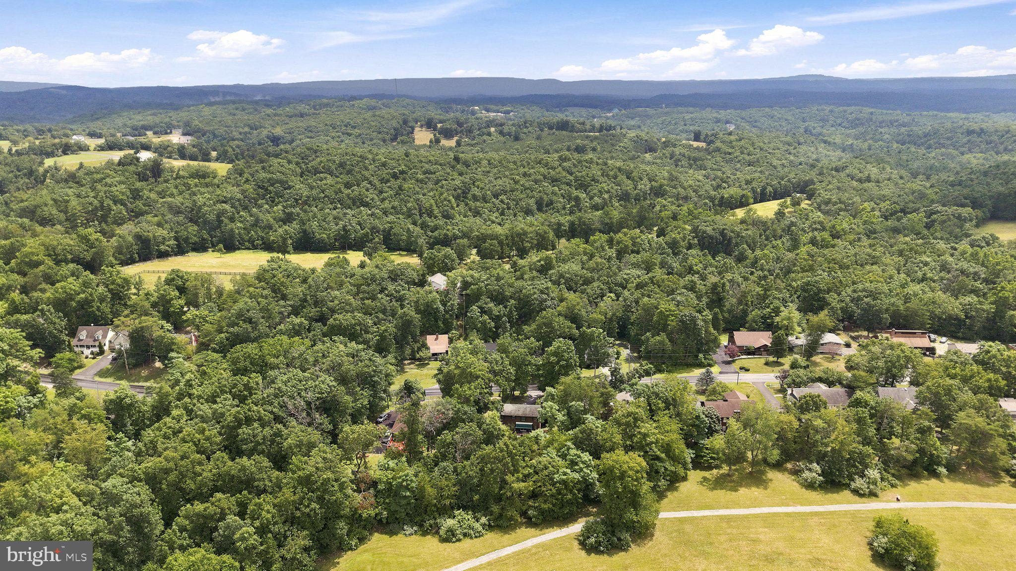 150 Holiday Road Cross Junction, VA 22625 - Photo 70 of 97 Surrounded by lush mature trees