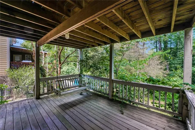 a view of a yard with plants and a large tree