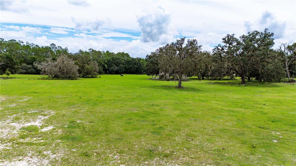 Pinkston Road Dade City, FL 33523 - Photo 14 of 15 Gallery Image 14