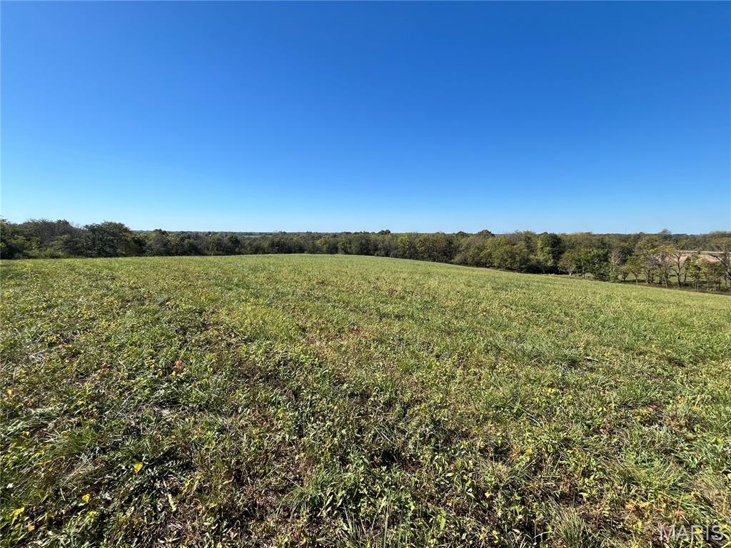 47 Lot 5) Autumn Ridge Drive Elsberry, MO 63343 - Photo 21 of 31