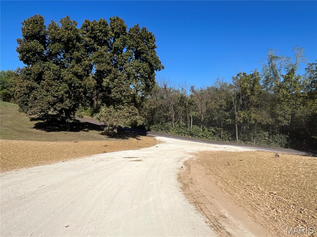 47 Lot 5) Autumn Ridge Drive Elsberry, MO 63343 - Photo 3 of 31