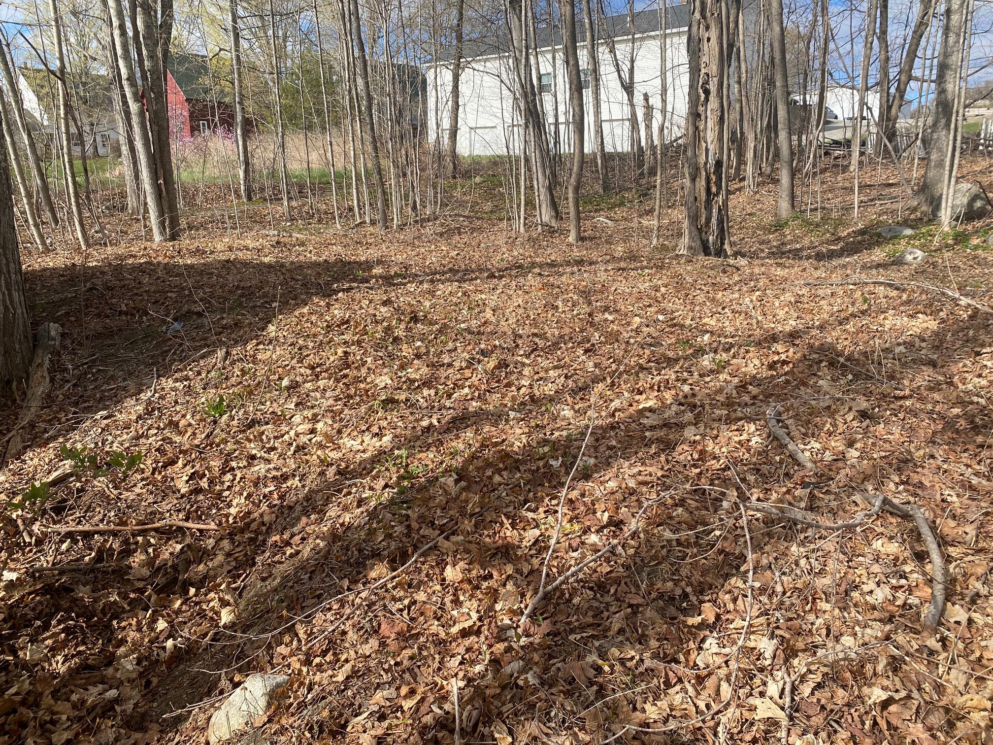 15 Corinna Road St. Albans, ME 04971 - Photo 14 of 14 IMG_6877