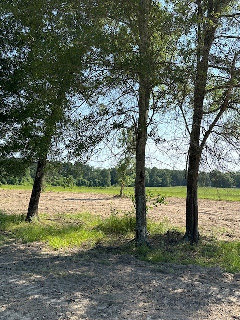 Undisclosed Address Summit, MS 39666 - Photo 2 of 7 Photo 2