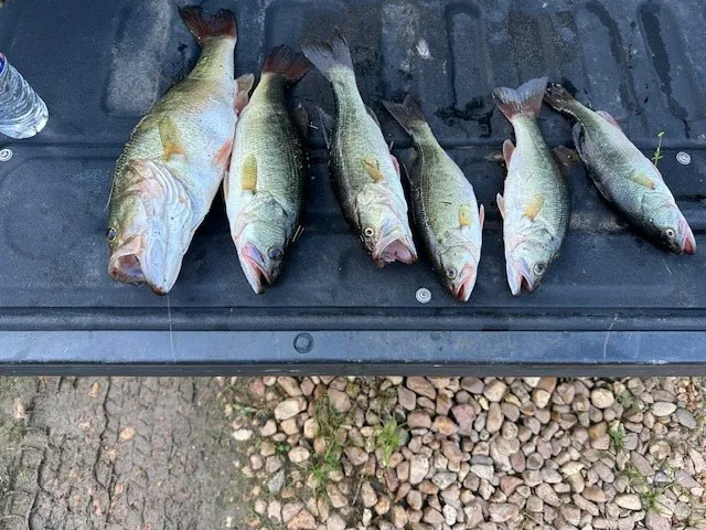 $54,600 | Undisclosed Address, Summit, MS 39666