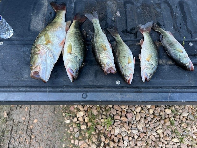 Undisclosed Address Summit, MS 39666 - Photo 5 of 7 Photo 5