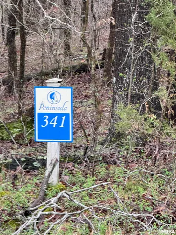 $19,900 | Lot 341-342 Clifty Lane, Goreville, IL 62939