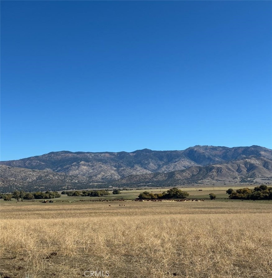 18266 Caliente Creek Road Caliente, CA 93518 - Photo 23 of 39 Property is NEAR BY famous RANKIN RANCH...
