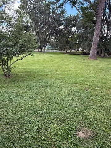 a view of a field with a trees