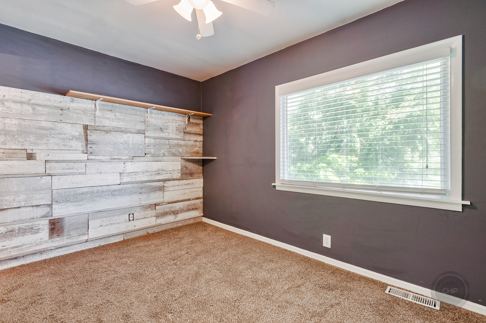 6010 Belmont Road Downers Grove, IL 60516 - Photo 11 of 24