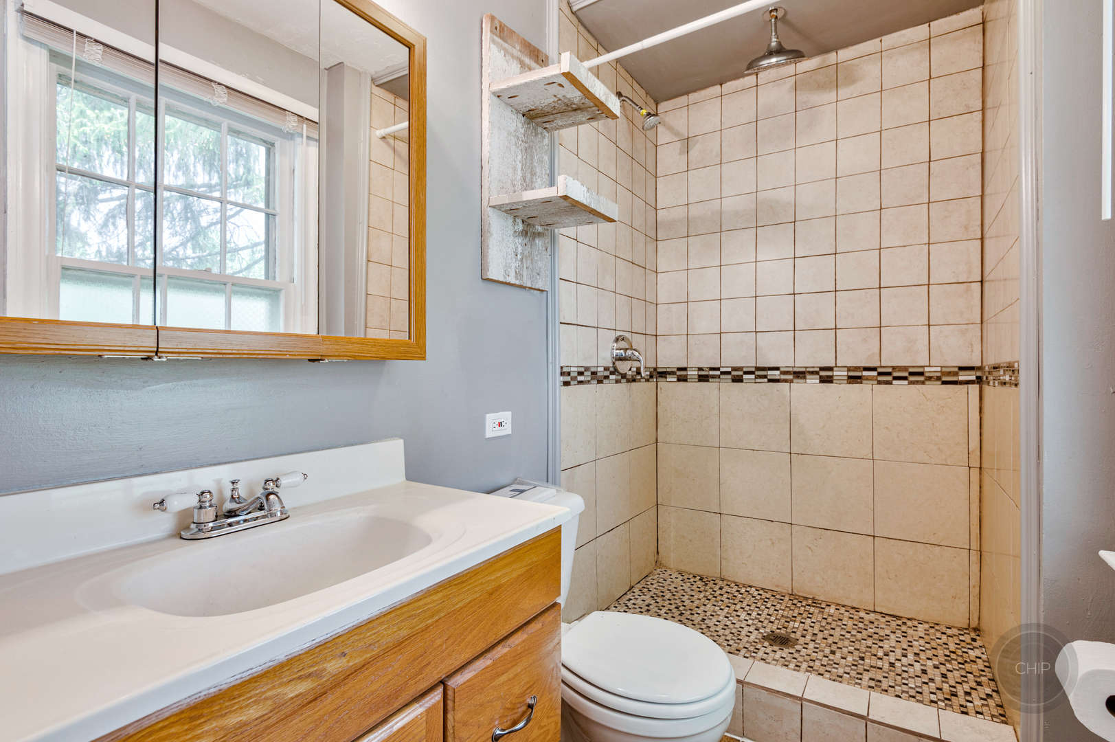 6010 Belmont Road Downers Grove, IL 60516 - Photo 13 of 24