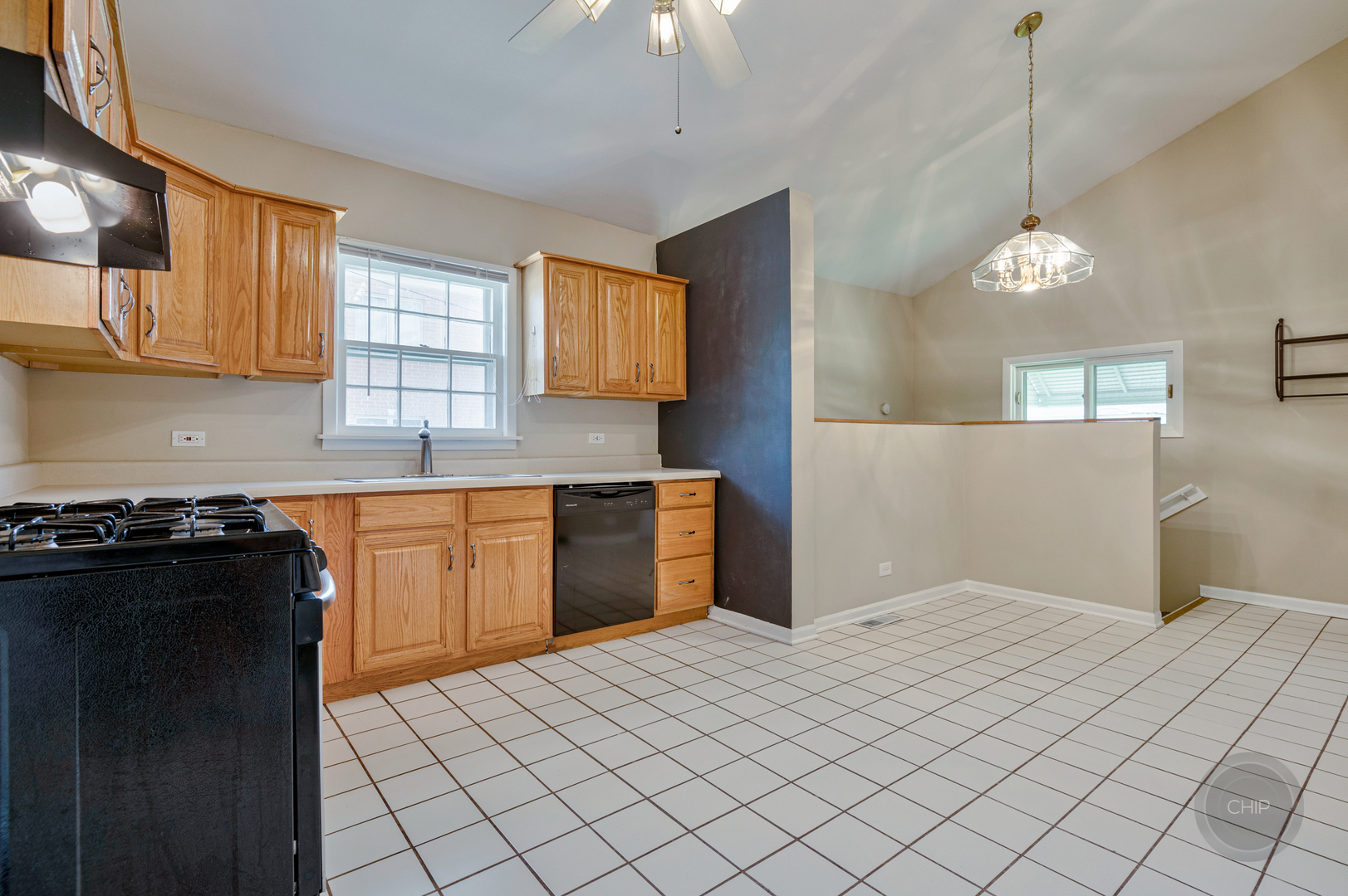 6010 Belmont Road Downers Grove, IL 60516 - Photo 8 of 24