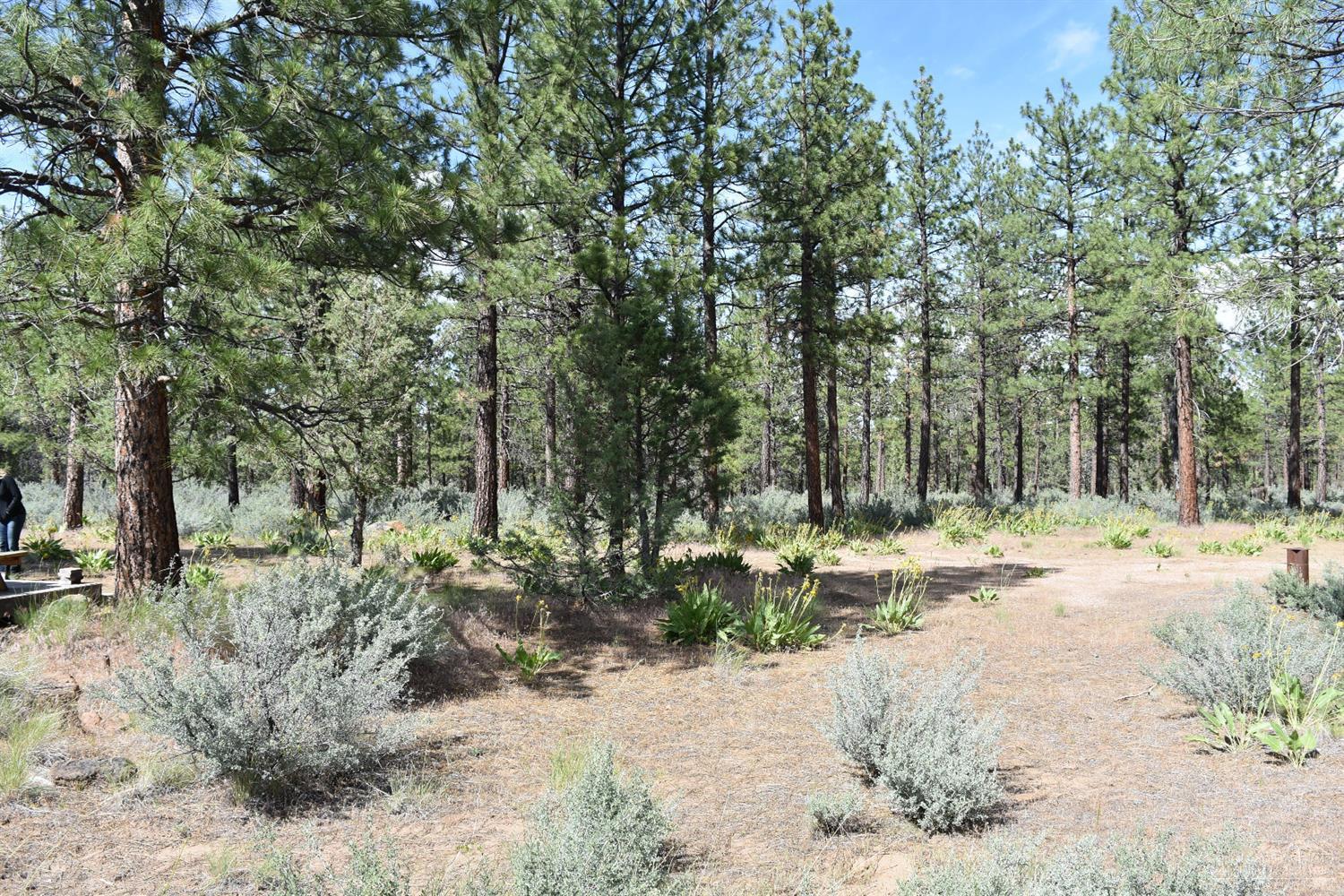 0 Black Butte Rd Camp Sisters, OR 97759 - Photo 8 of 19 Gallery Image 8