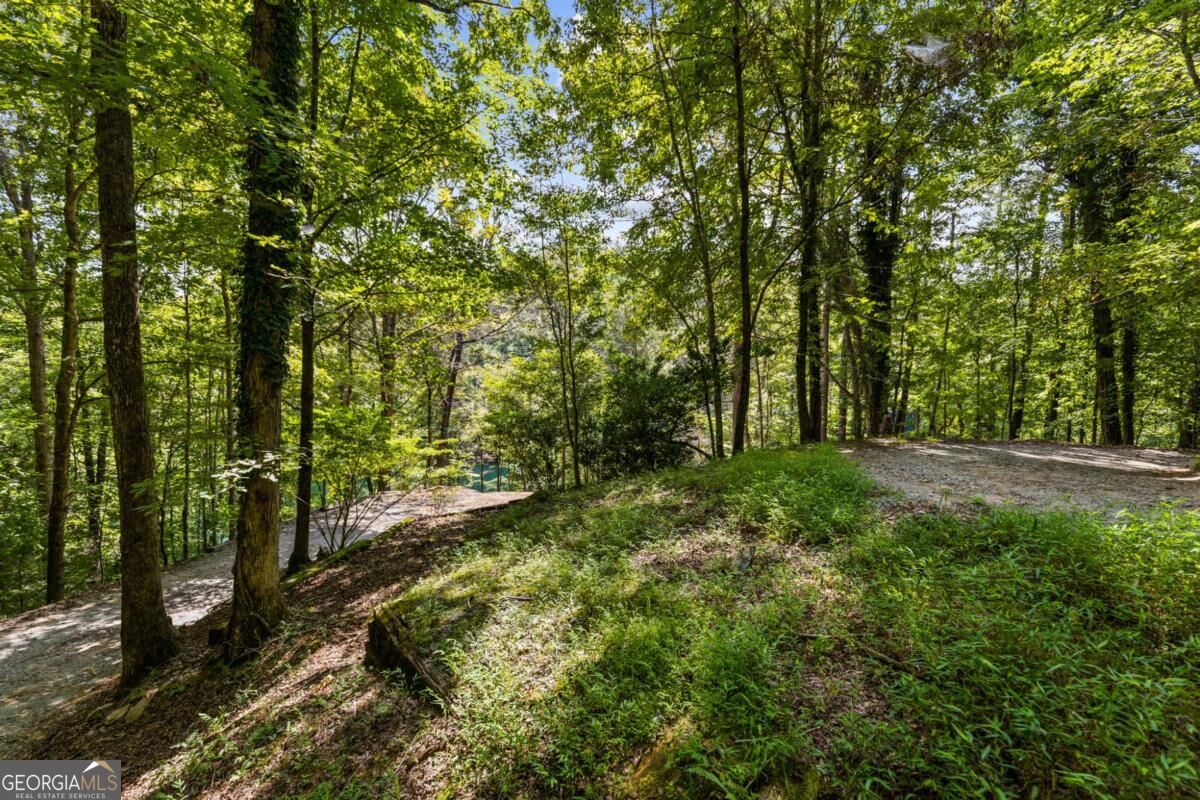 44-45 Overlook Drive Blue Ridge, GA 30513 - Photo 23 of 27 Gallery Image 23