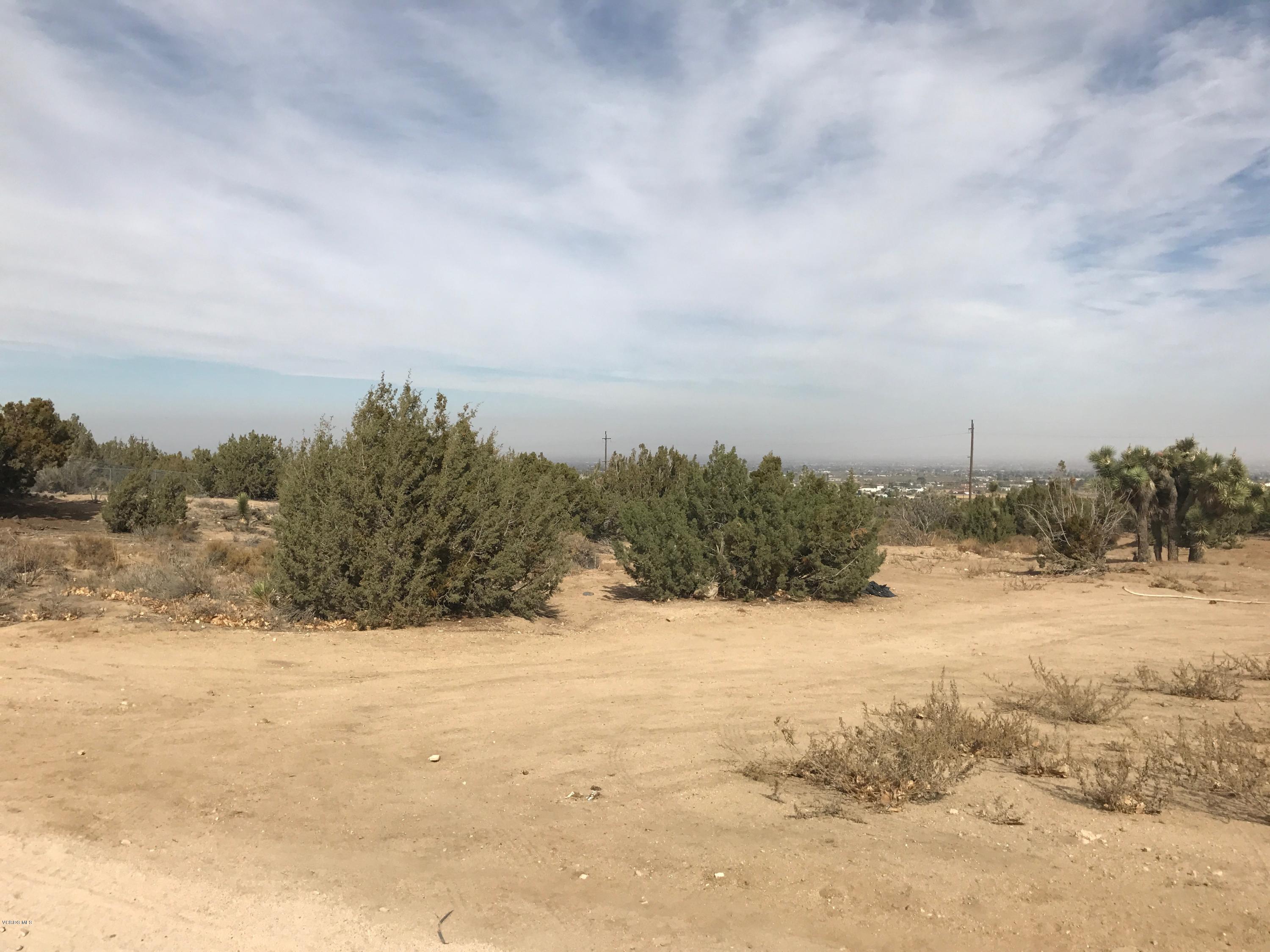 Quail Road Road Pinon Hills, CA 92372 - Photo 1 of 2 File Nov 16, 3 45 46 PM